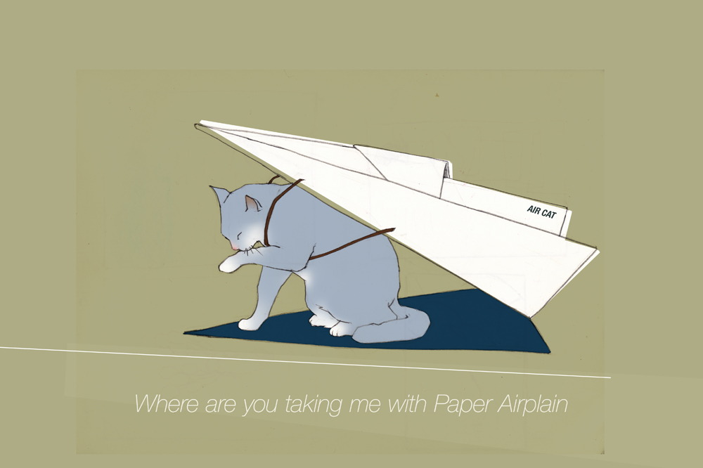 flying cat project