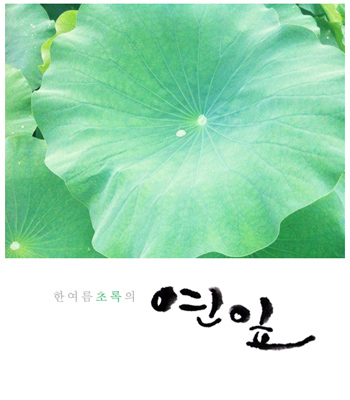 연 잎 