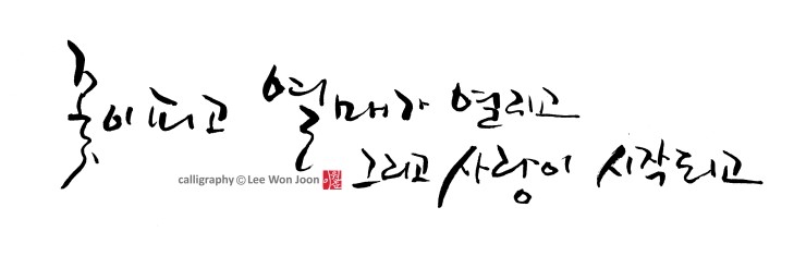 캘리그래피